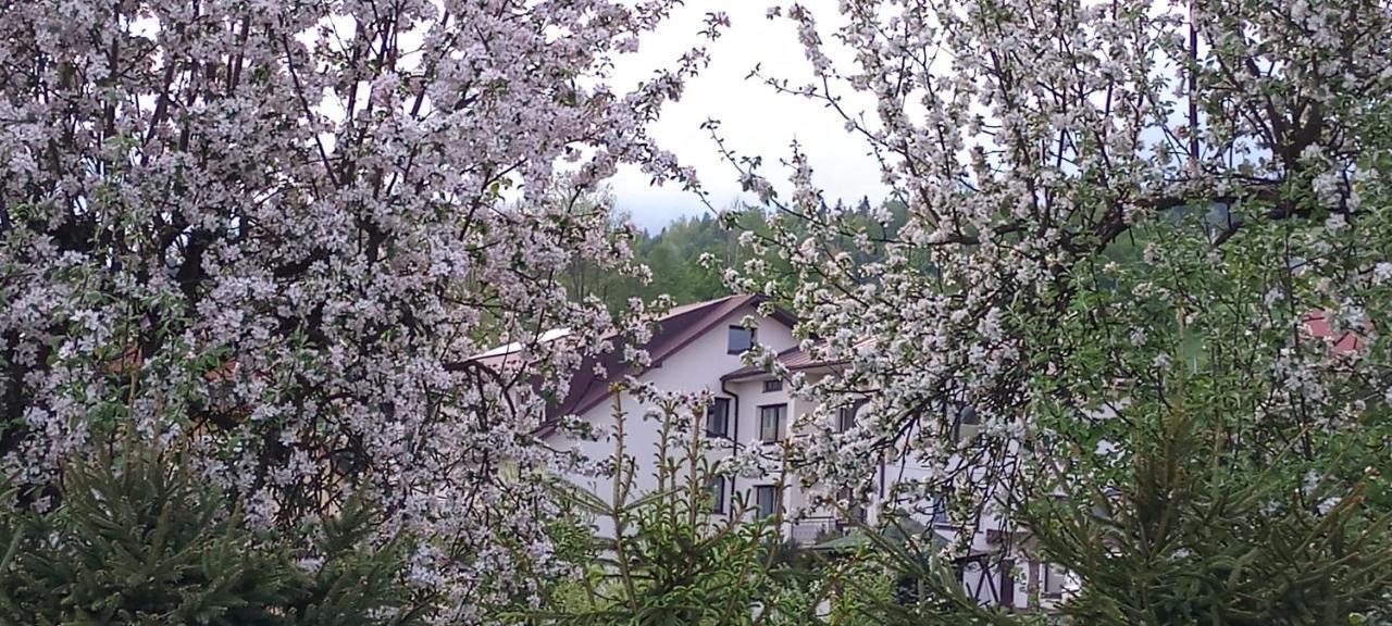 Pokoje U Solany Knurow  Exterior foto