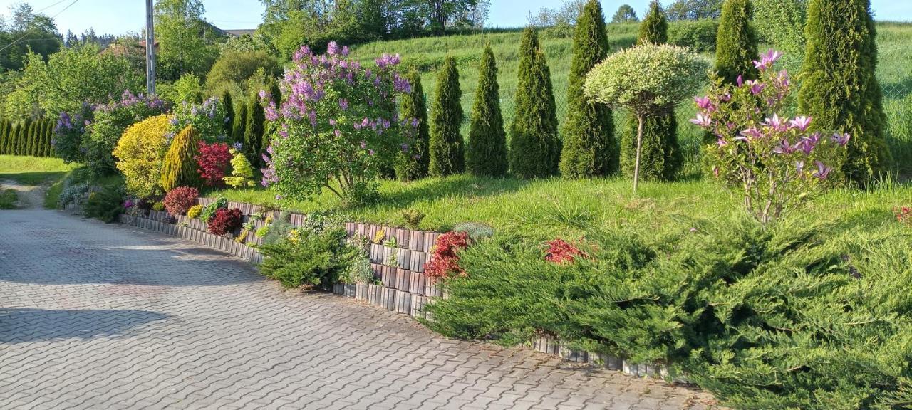 Pokoje U Solany Knurow  Exterior foto